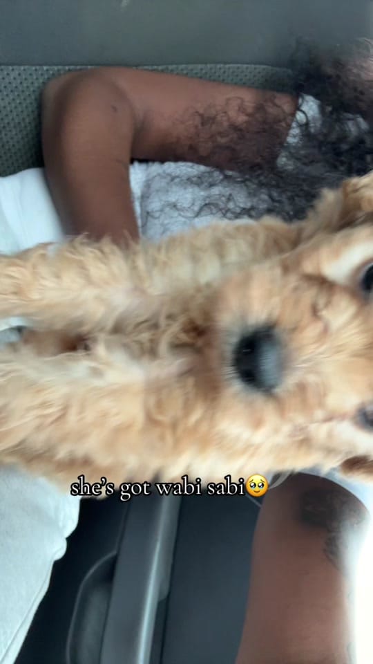 Post 7 by emyajanae on TikTok (video)
