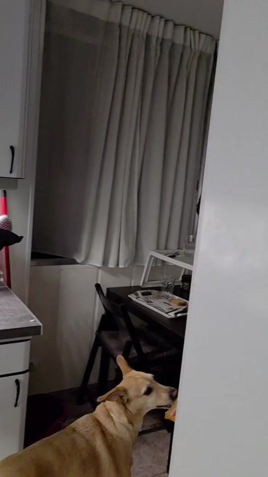 Post 5 by REUVEN on TikTok (video)