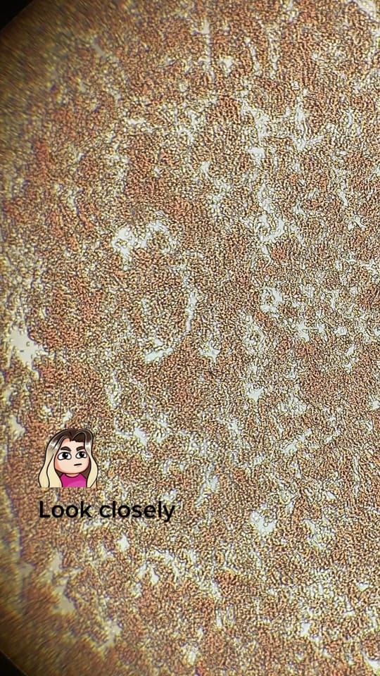 Post 3 by GahannaAnimalHospital on TikTok (video)