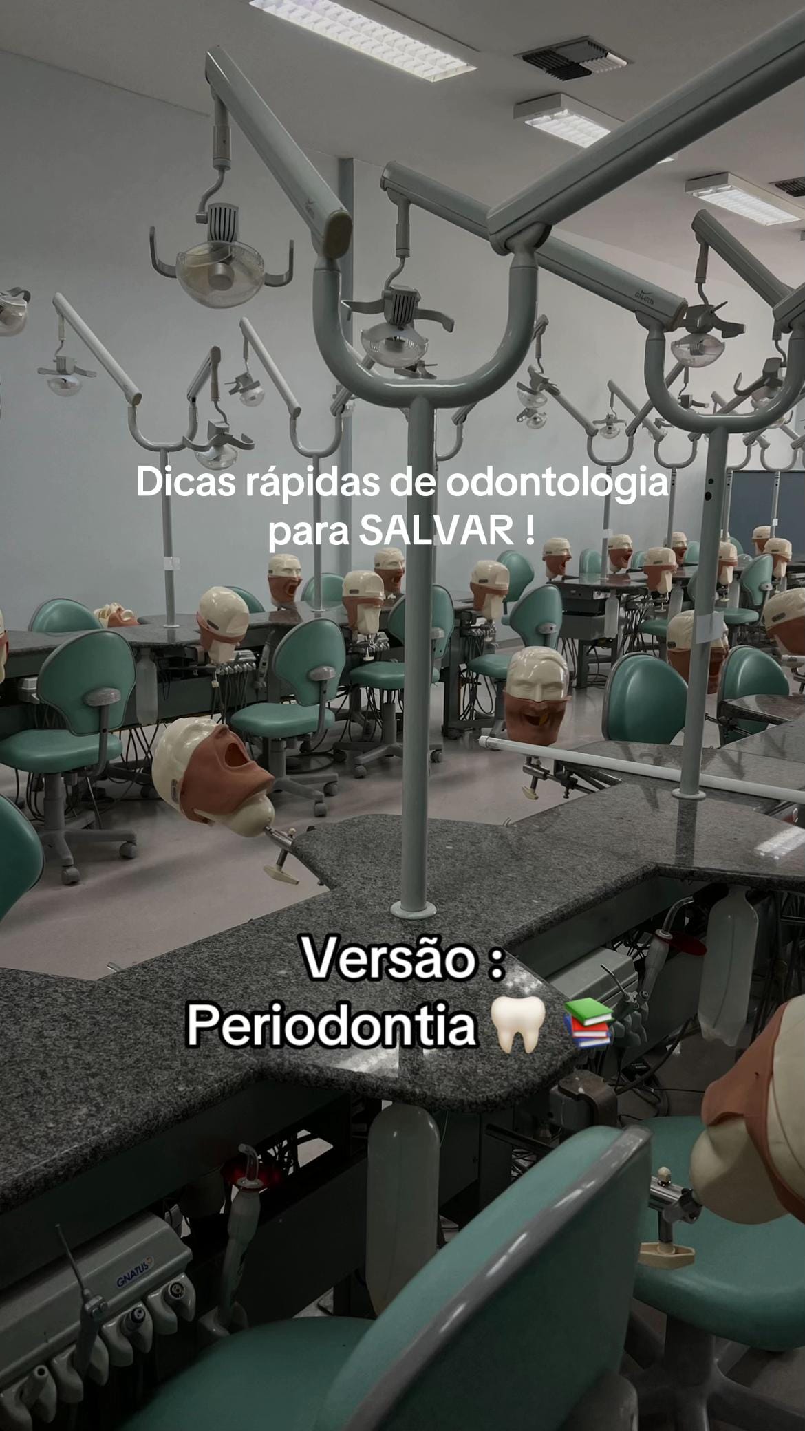 Post 8 by dailyviti on TikTok (video)