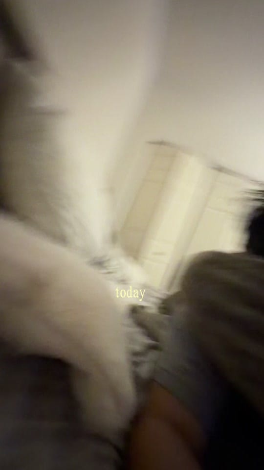 Post 6 by Lance Tan | RN on TikTok (video)