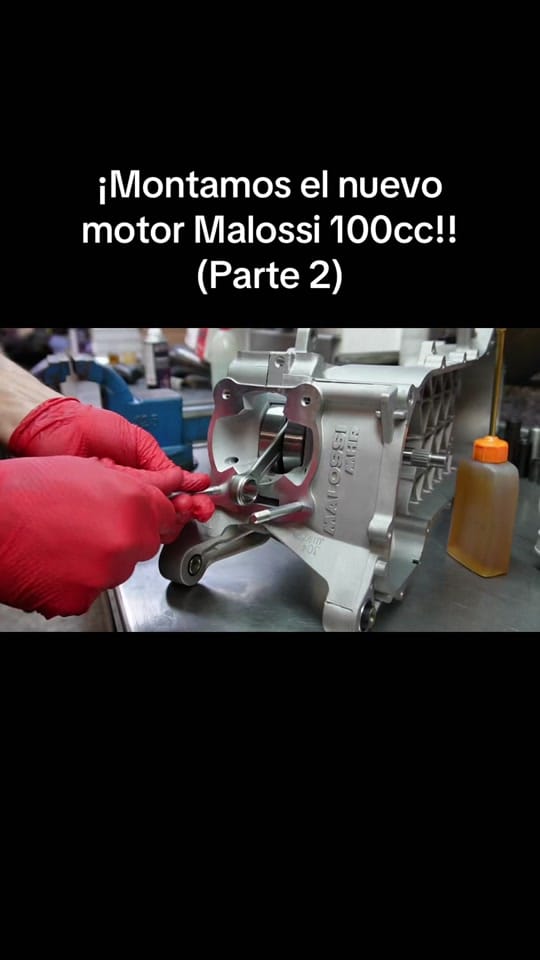 Post 9 by Ignacio Roman on TikTok (video)
