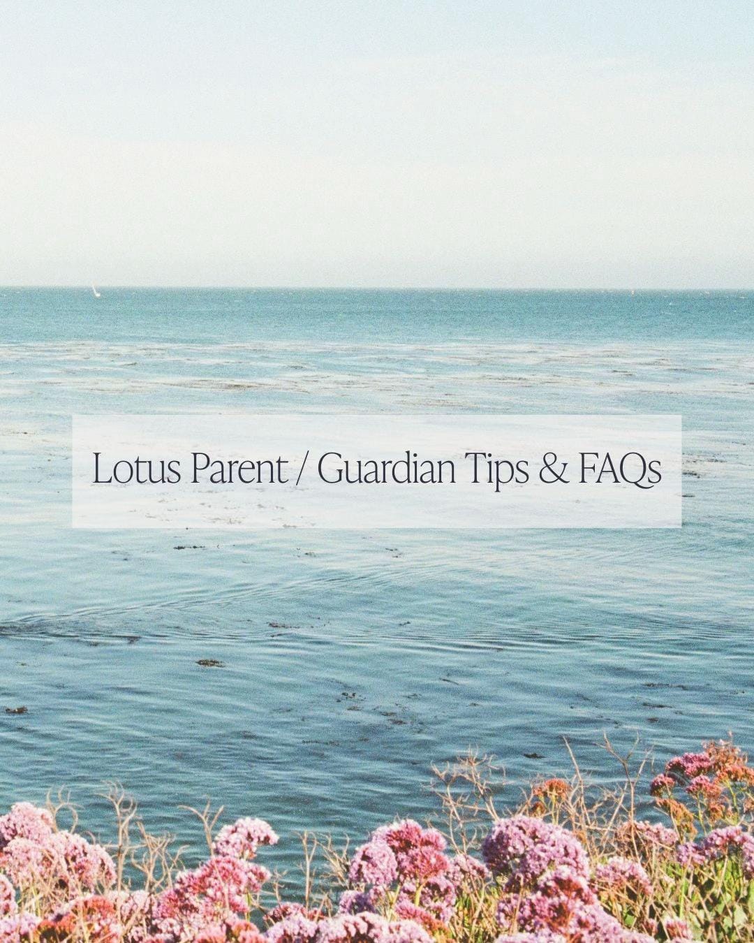 Post 2 by The Lotus Collaborative on TikTok (video)