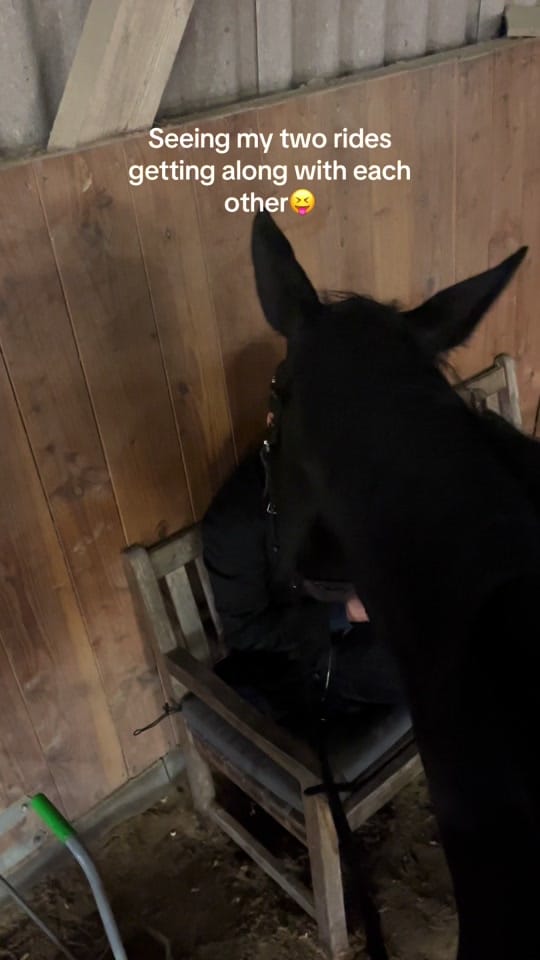 Post 6 by EMMSI on TikTok (video)