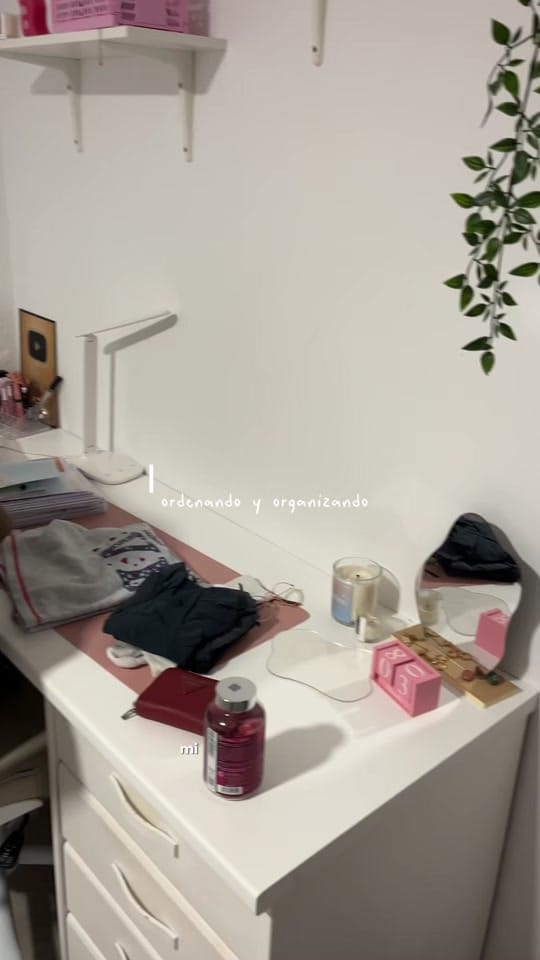Post 10 by Tamara Soneira on TikTok (video)