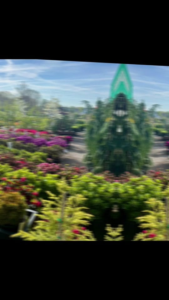 Post 4 by David 333 Sherwood🕊️🦋🕊️ on TikTok (video)
