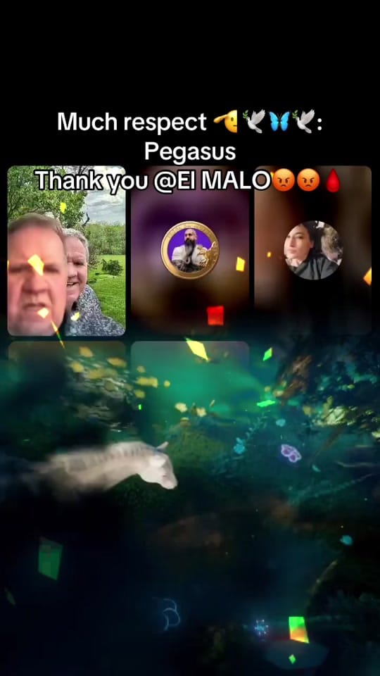 Post 3 by David 333 Sherwood🕊️🦋🕊️ on TikTok (video)