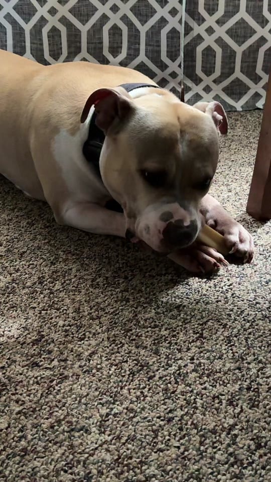 Post 1 by JessM on TikTok (video)