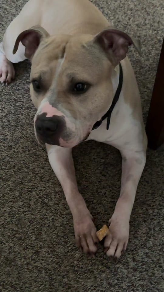 Post 6 by JessM on TikTok (video)