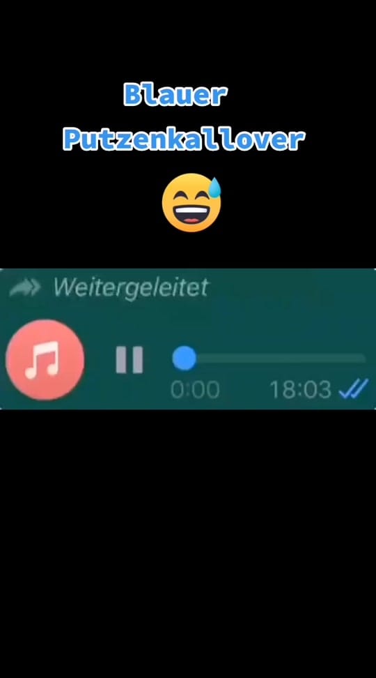 Post 9 by Vanessa  🌻 on TikTok (video)