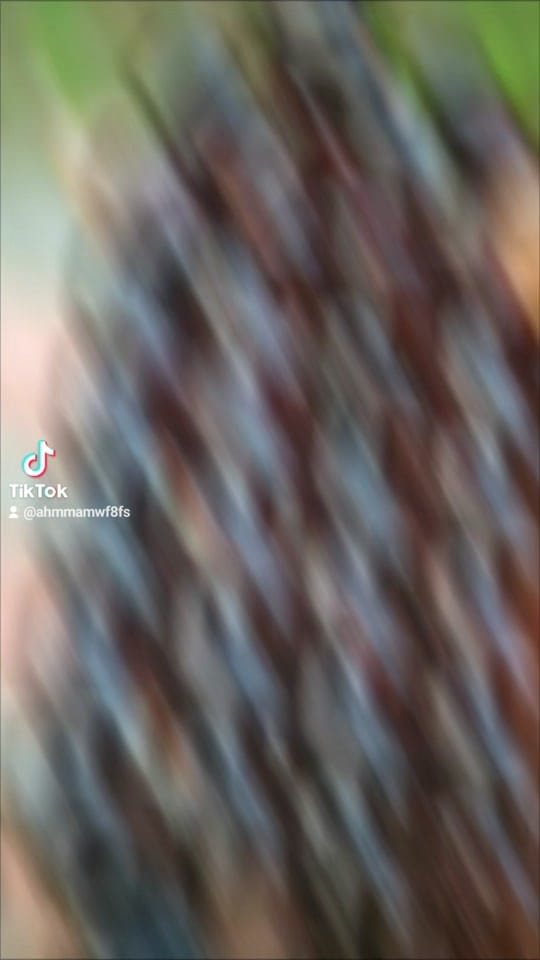 Post 1 by Dr.ahmad on TikTok (video)