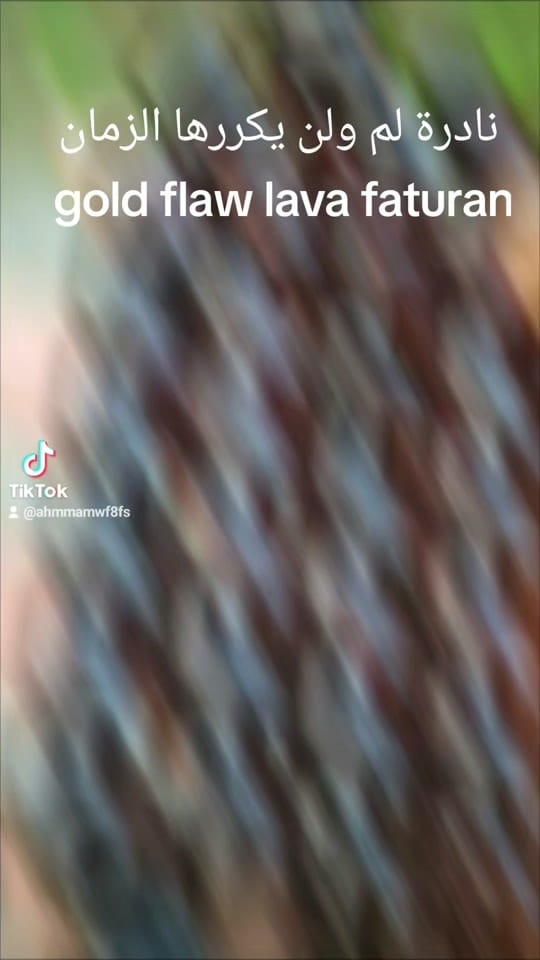 Post 2 by Dr.ahmad on TikTok (video)