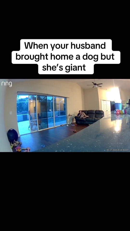 Post 8 by Sarah on TikTok (video)