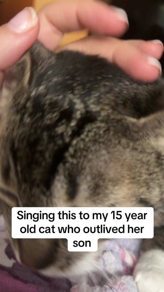 Post 4 by Sarah on TikTok (video)