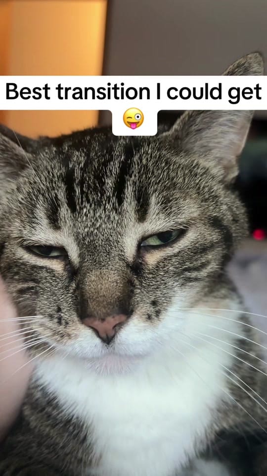 Post 2 by Sarah on TikTok (video)