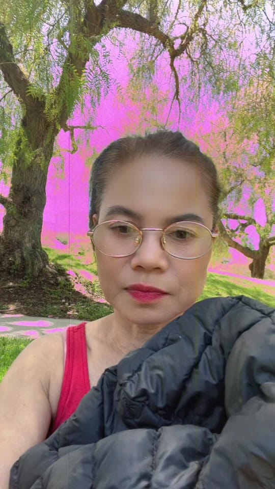 Post 6 by Jofelyka Magon on TikTok (video)