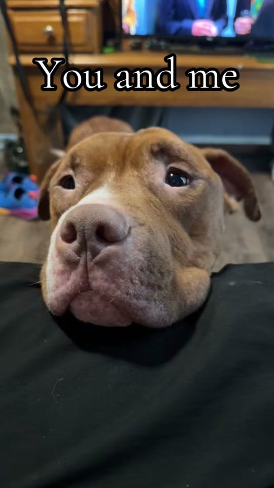 Post 5 by Mackenzie💕 on TikTok (video)
