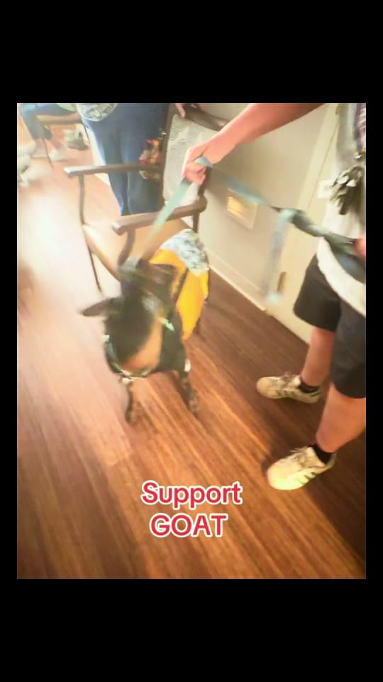 Post 2 by Rachel Prather on TikTok (video)
