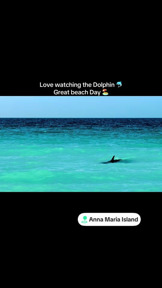 Post 4 by Rachel Prather on TikTok (video)