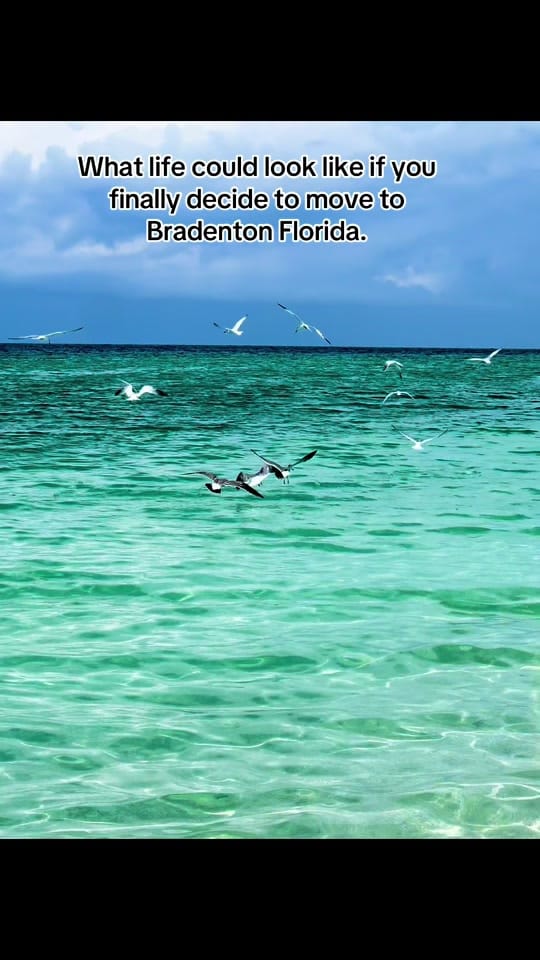 Post 3 by Rachel Prather on TikTok (video)