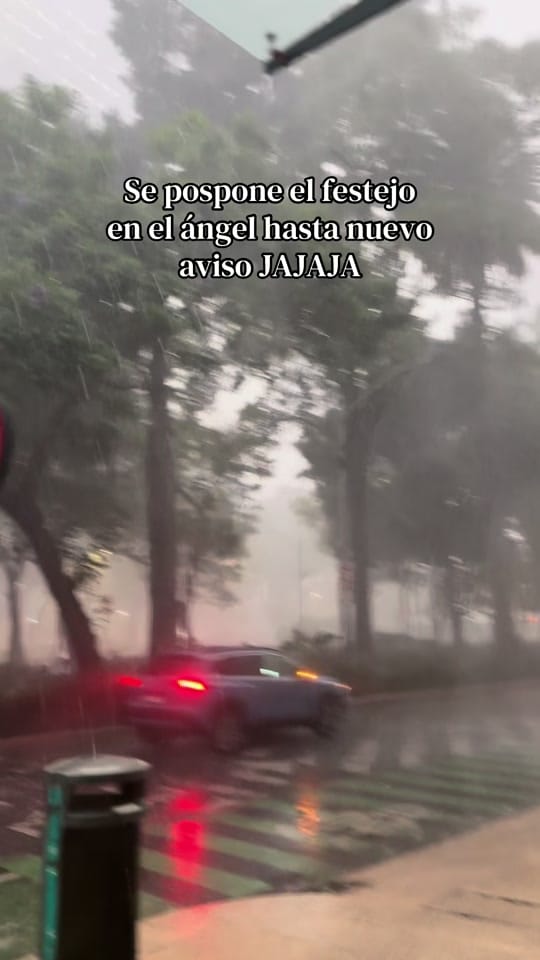 Post 4 by Renata on TikTok (video)