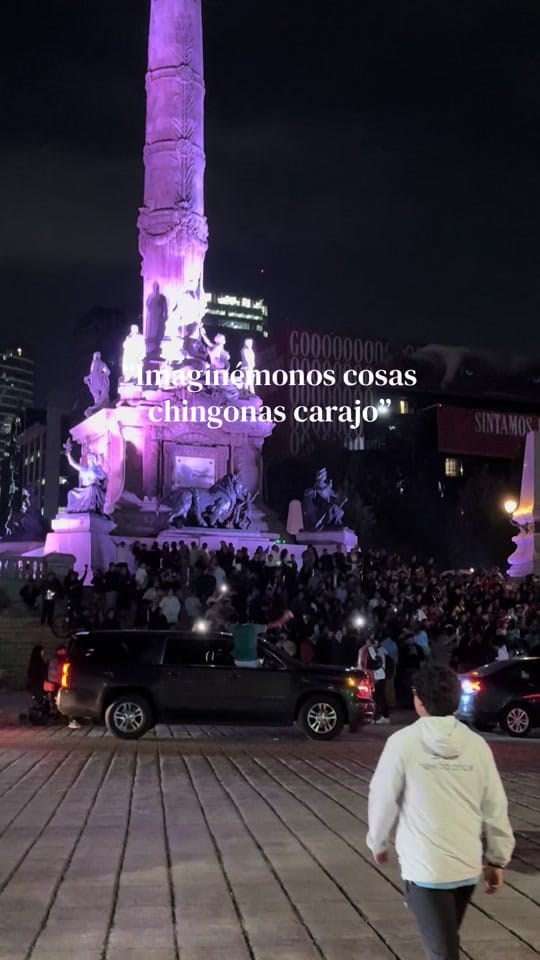 Post 6 by Renata on TikTok (video)