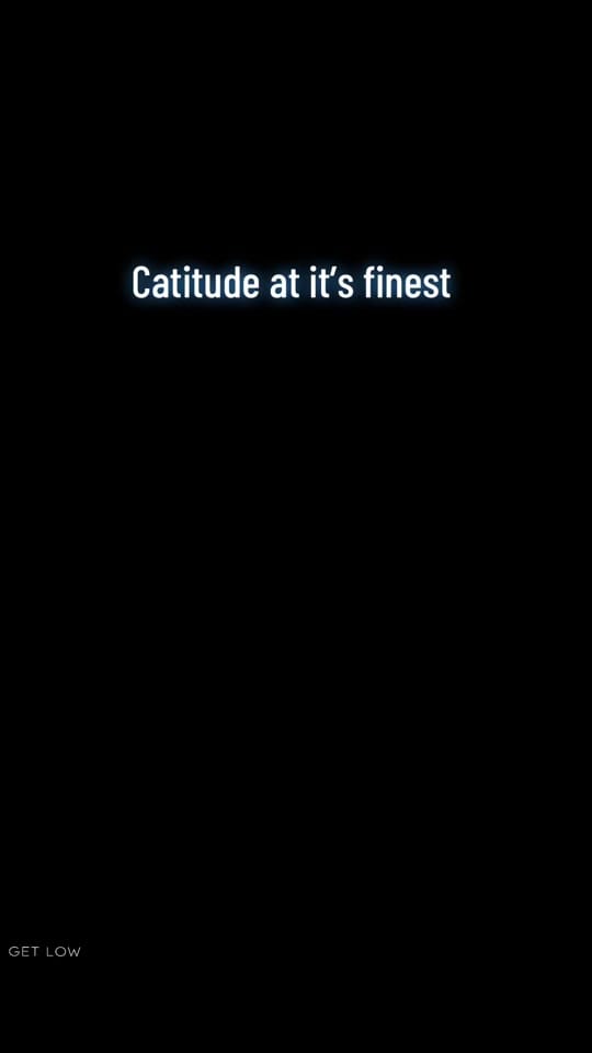 Post 5 by Paigefellforyou on TikTok (video)