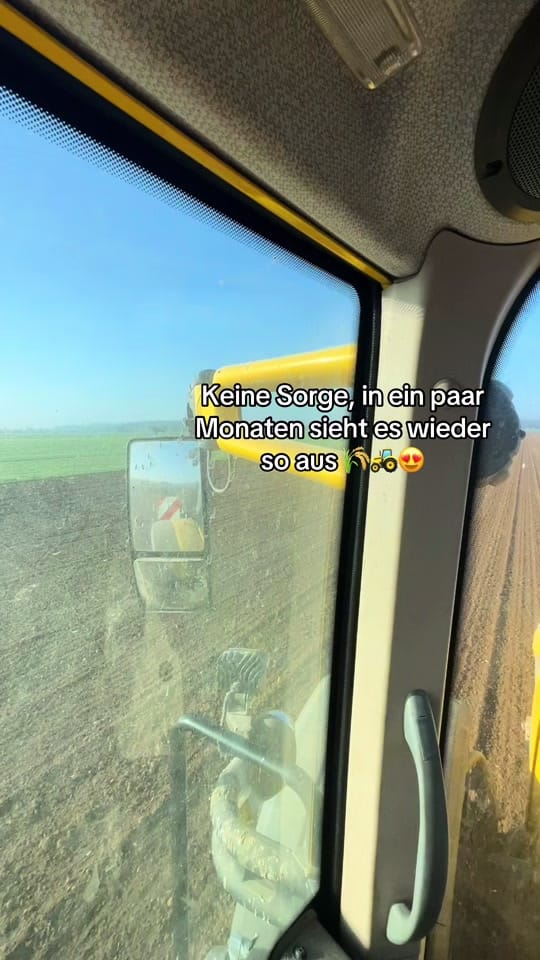 Post 6 by Laura 💗 on TikTok (video)