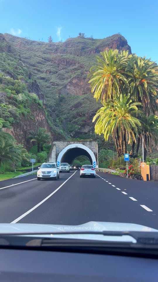 Post 2 by Tenerife Ambience on TikTok (video)