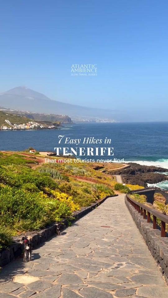 Post 7 by Tenerife Ambience on TikTok (video)