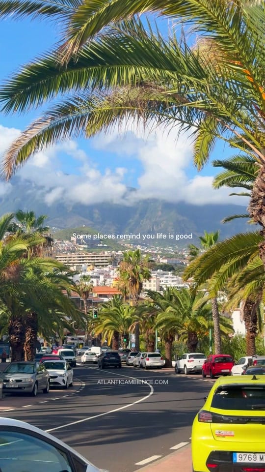 Post 6 by Tenerife Ambience on TikTok (video)