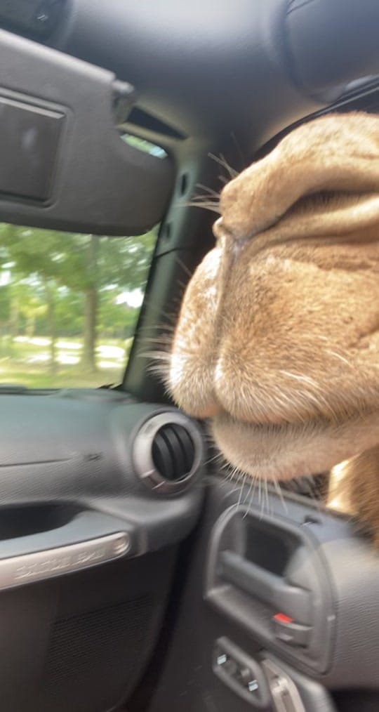 Post 7 by Savannalm on TikTok (video)