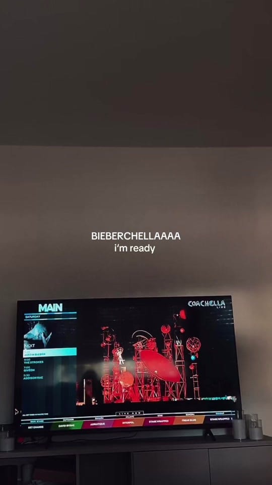 Post 6 by greta 🪩🐆🍸 on TikTok (video)