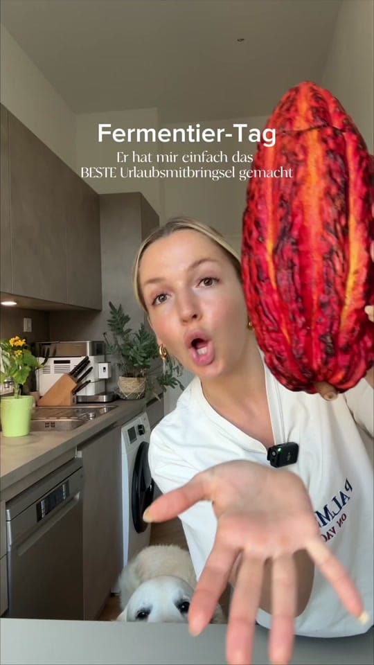 Post 3 by Joana 🌞 on TikTok (video)