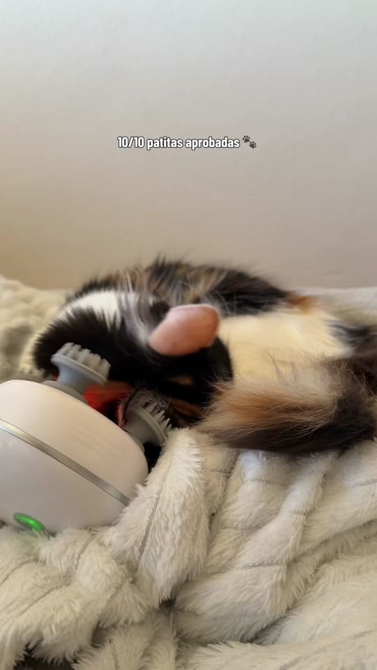 Post 10 by ANA YZABEL on TikTok (video)