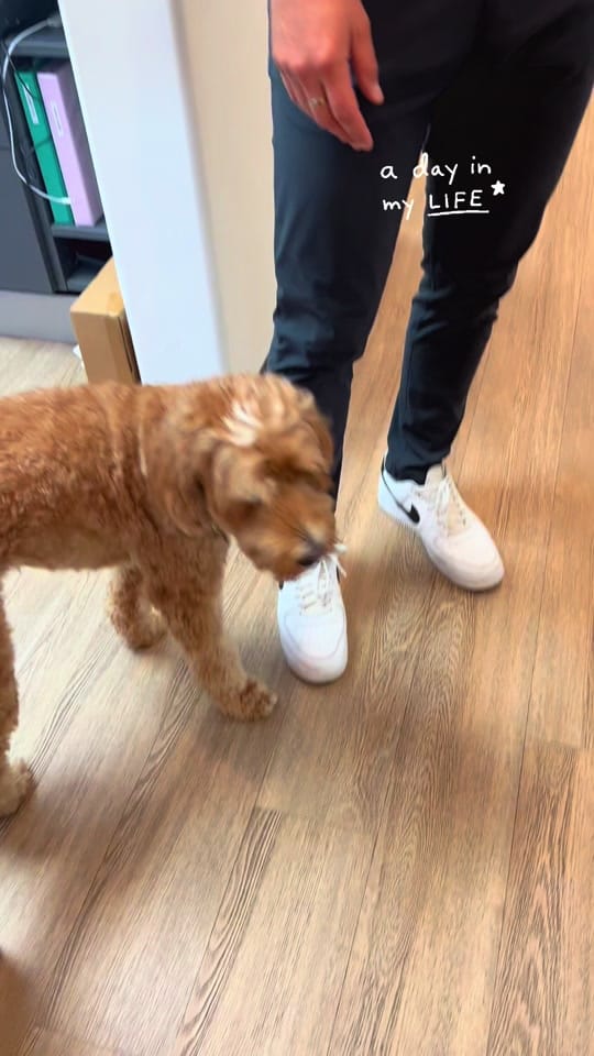 Post 3 by Dr. Daniel Sluyk, DDS on TikTok (video)