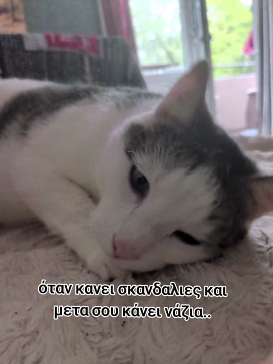 Post 3 by Gatsa Gg on TikTok (video)