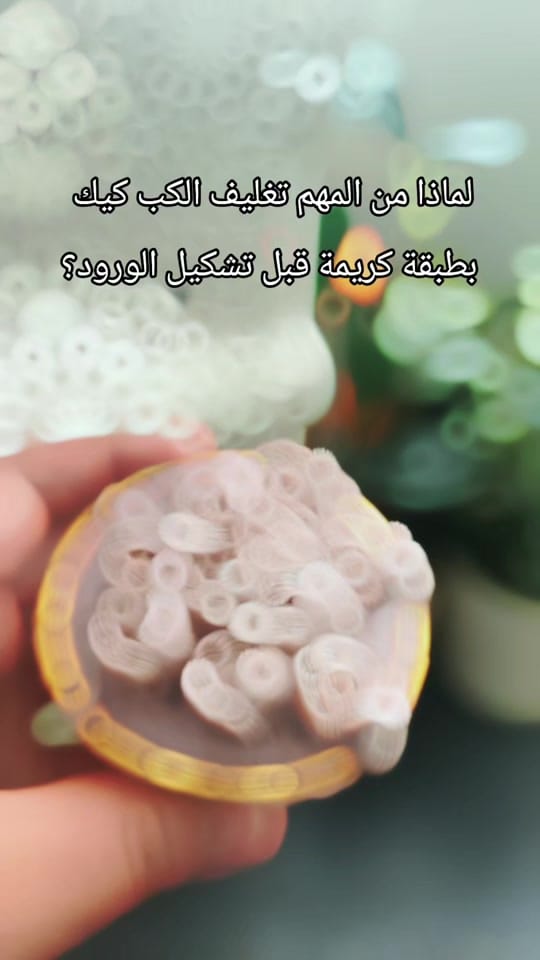 Post 7 by pétale de sucre on TikTok (video)
