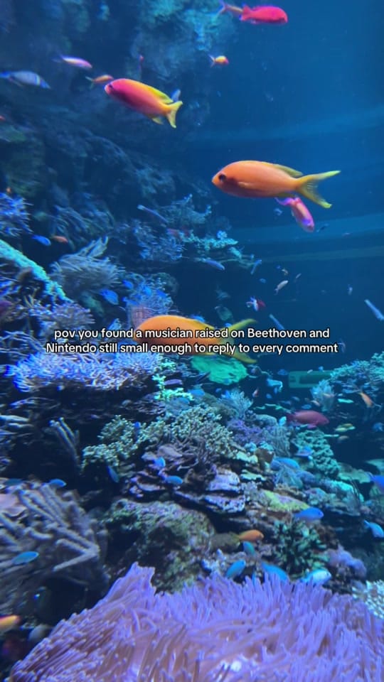 Post 5 by mrtylerlarson on TikTok (video)