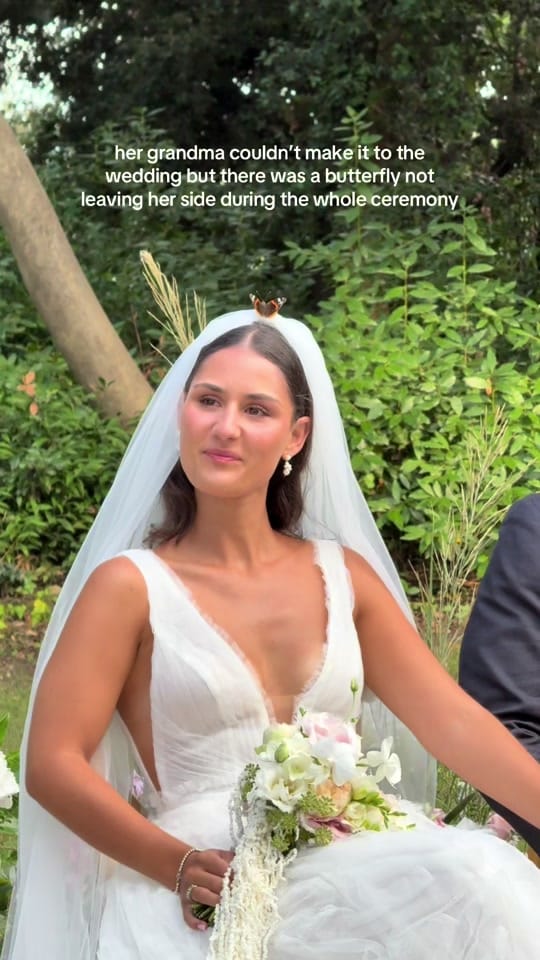 Post 8 by Palma l Wed Content Creator on TikTok (video)