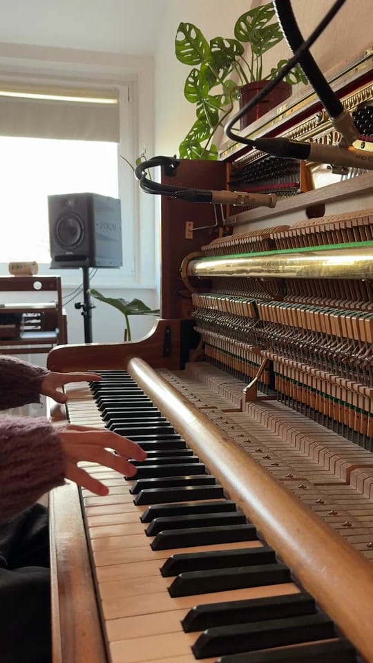 Post 3 by Sergio Díaz De Rojas on TikTok (video)