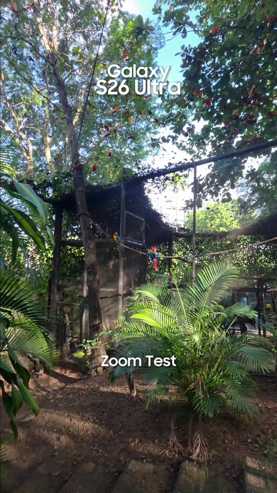 Post 3 by Vitória Walker on TikTok (video)