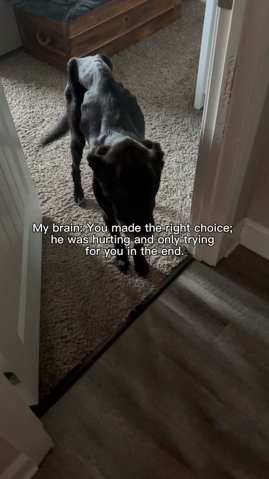 Post 1 by Megs🍒🪩 on TikTok (video)