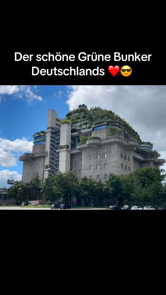 Post 5 by luxarius_official on TikTok (video)