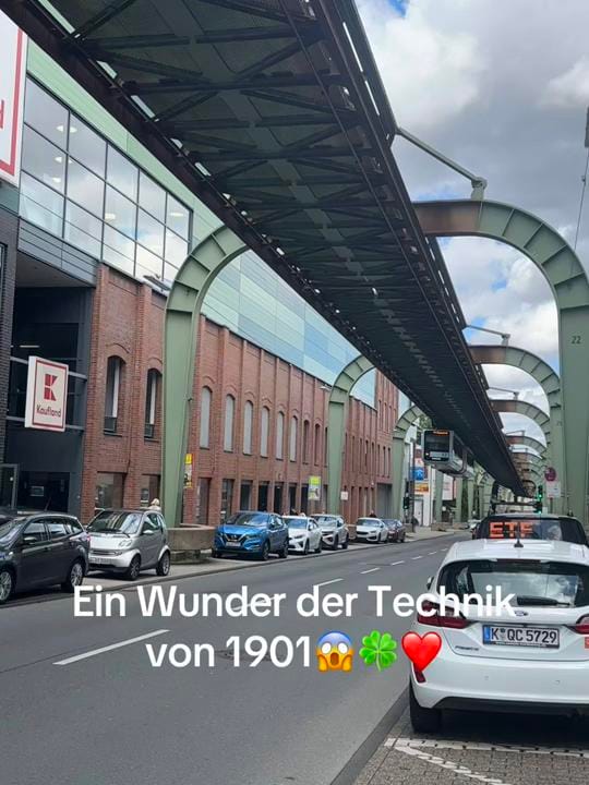 Post 3 by luxarius_official on TikTok (video)