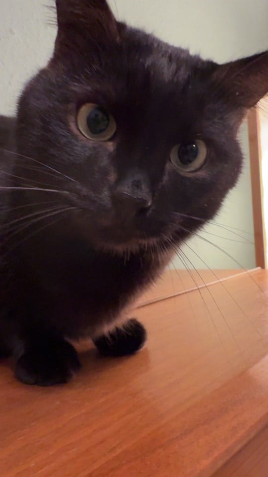 Post 1 by Paul Gassa on TikTok (video)