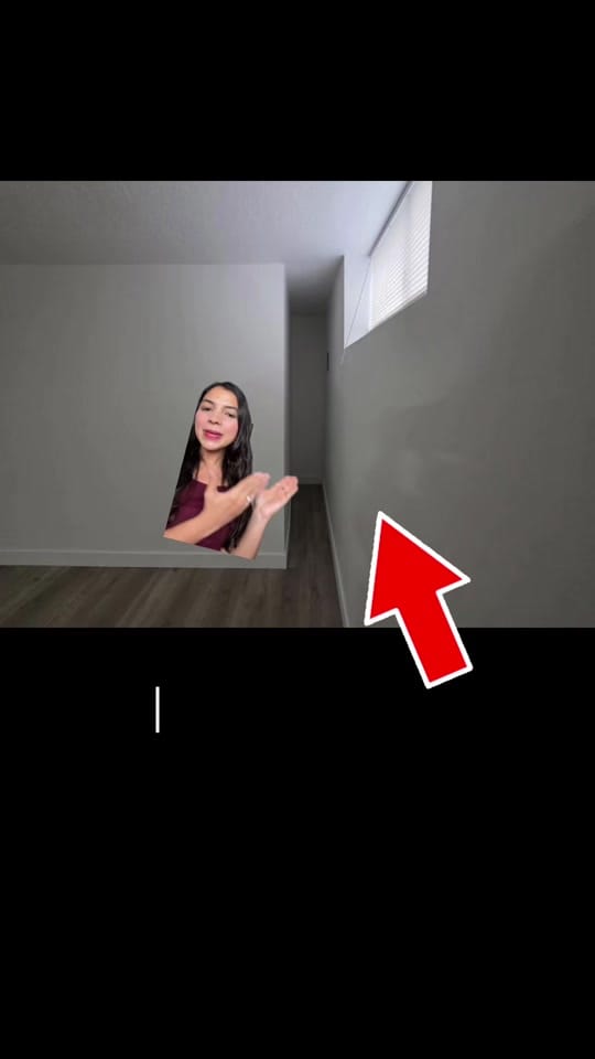 Post 6 by Melissa Santos 👑🌷 on TikTok (video)