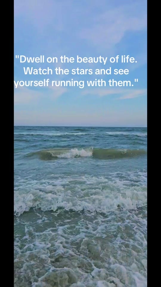 Post 2 by Ron on TikTok (video)