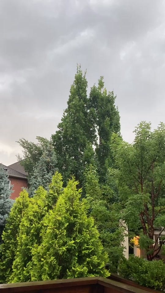 Post 5 by delaynie🌛 on TikTok (video)