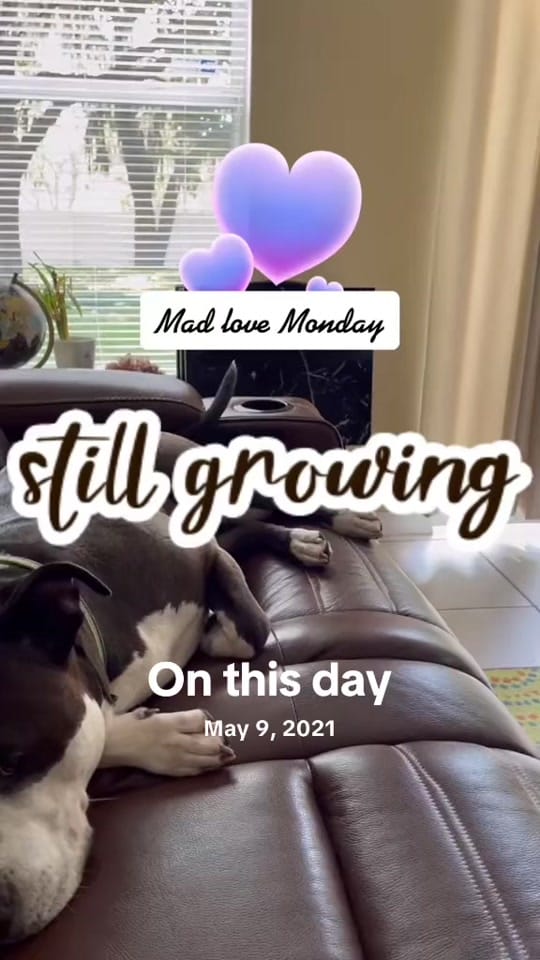 Post 3 by Christinita2020 on TikTok (video)